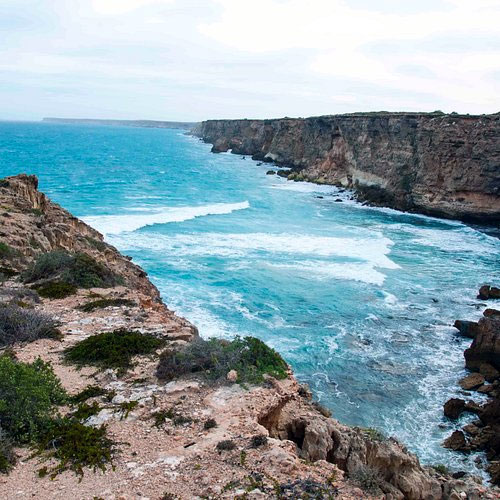 Ceduna